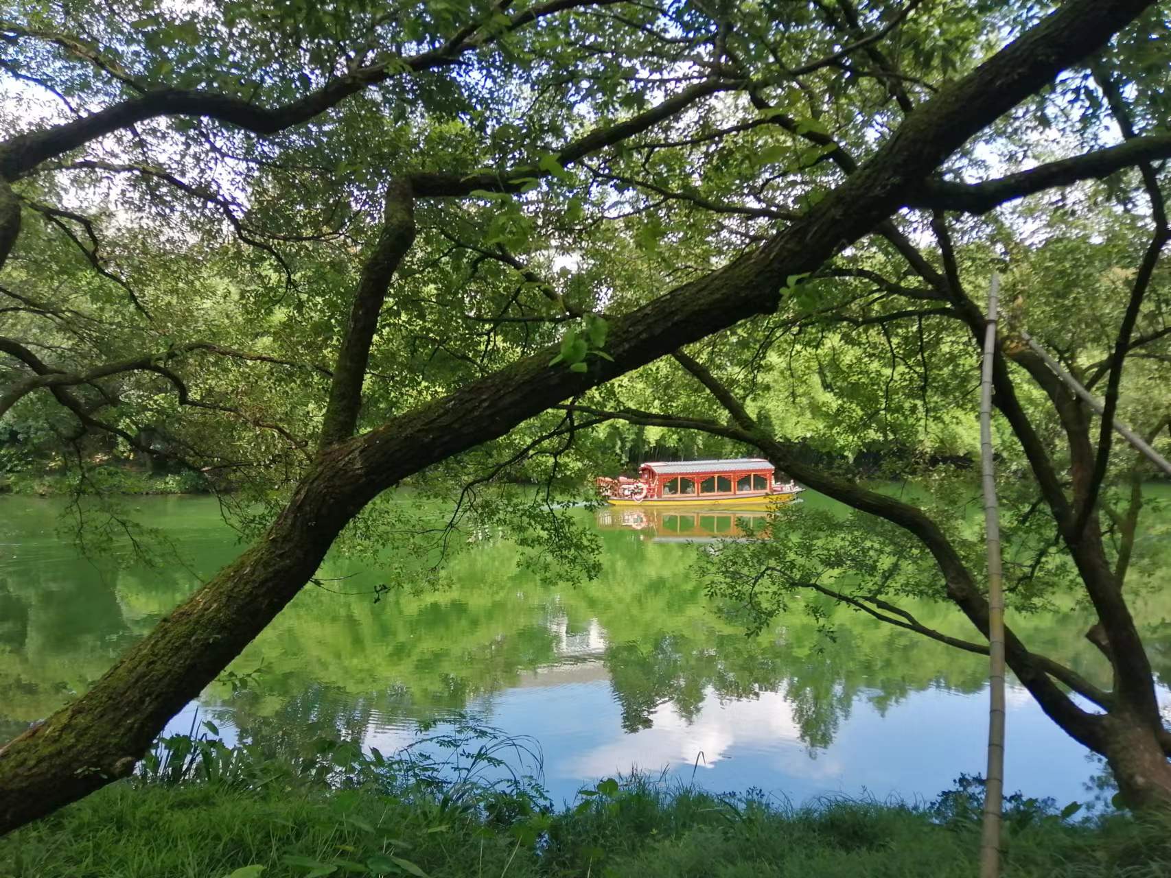 年末緊急提醒：這件關鍵涉稅事項，請務必立即排查！普票發票風險檢查！